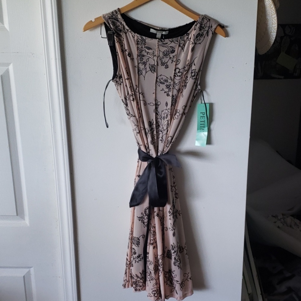 Classy Petite Dress